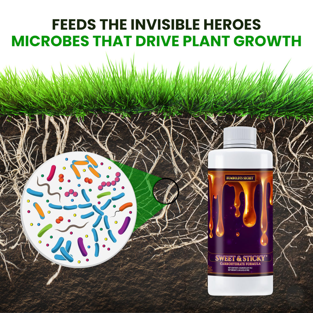 Humboldts Secret Sweet & Sticky Carbohydrate and Saccharide Plant Energy Additive | Indoor and Outdoor Plant Nutrients Enhancer for Growth and Aroma | Boosts Flavor and Development | 1 Gallon