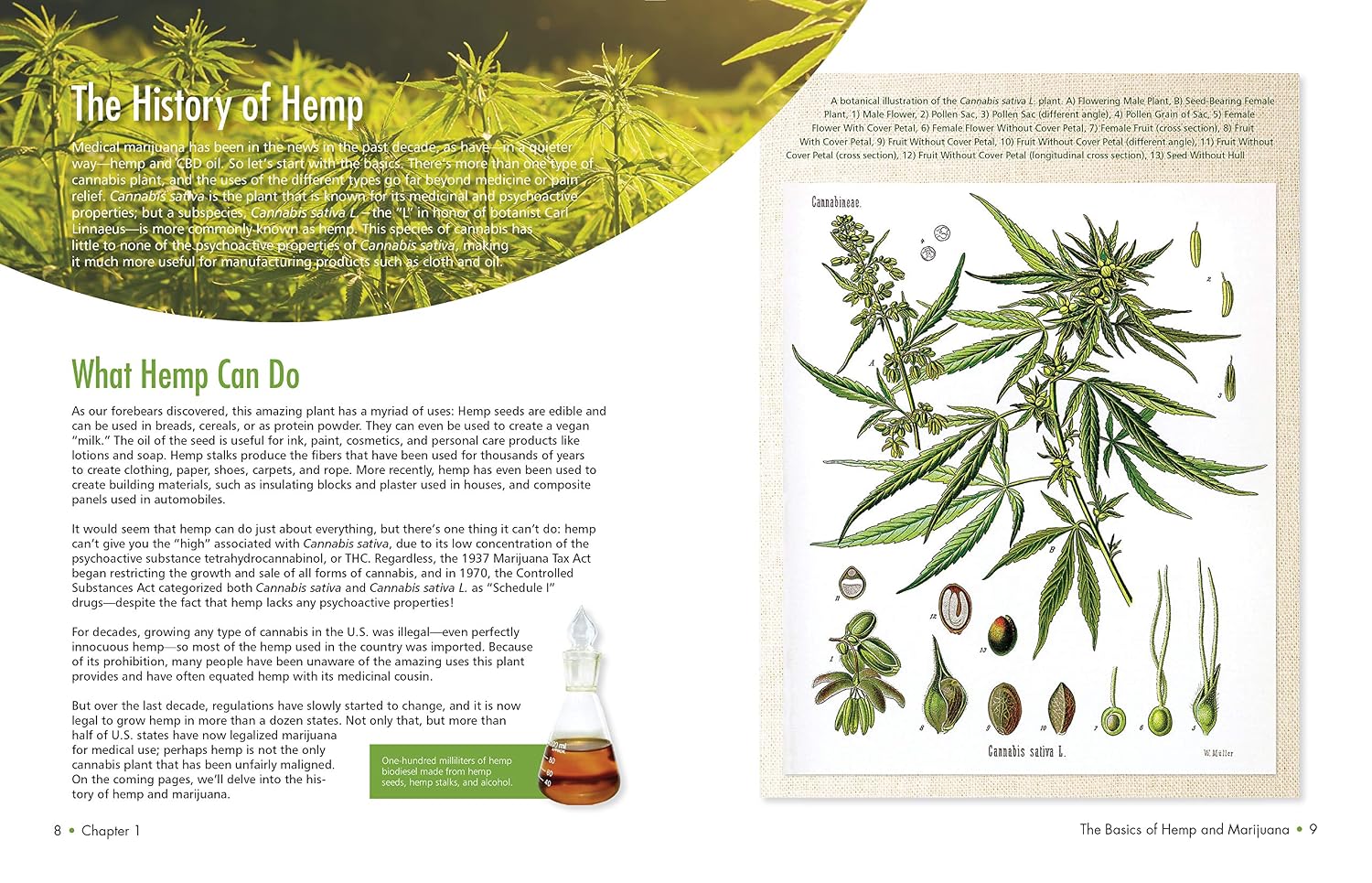 CBD Cannabidiol: Ease Pain and Promote Healing With Hemp Oil. Learn Where to Buy It, How to Use It, and the Conditions It Treats.