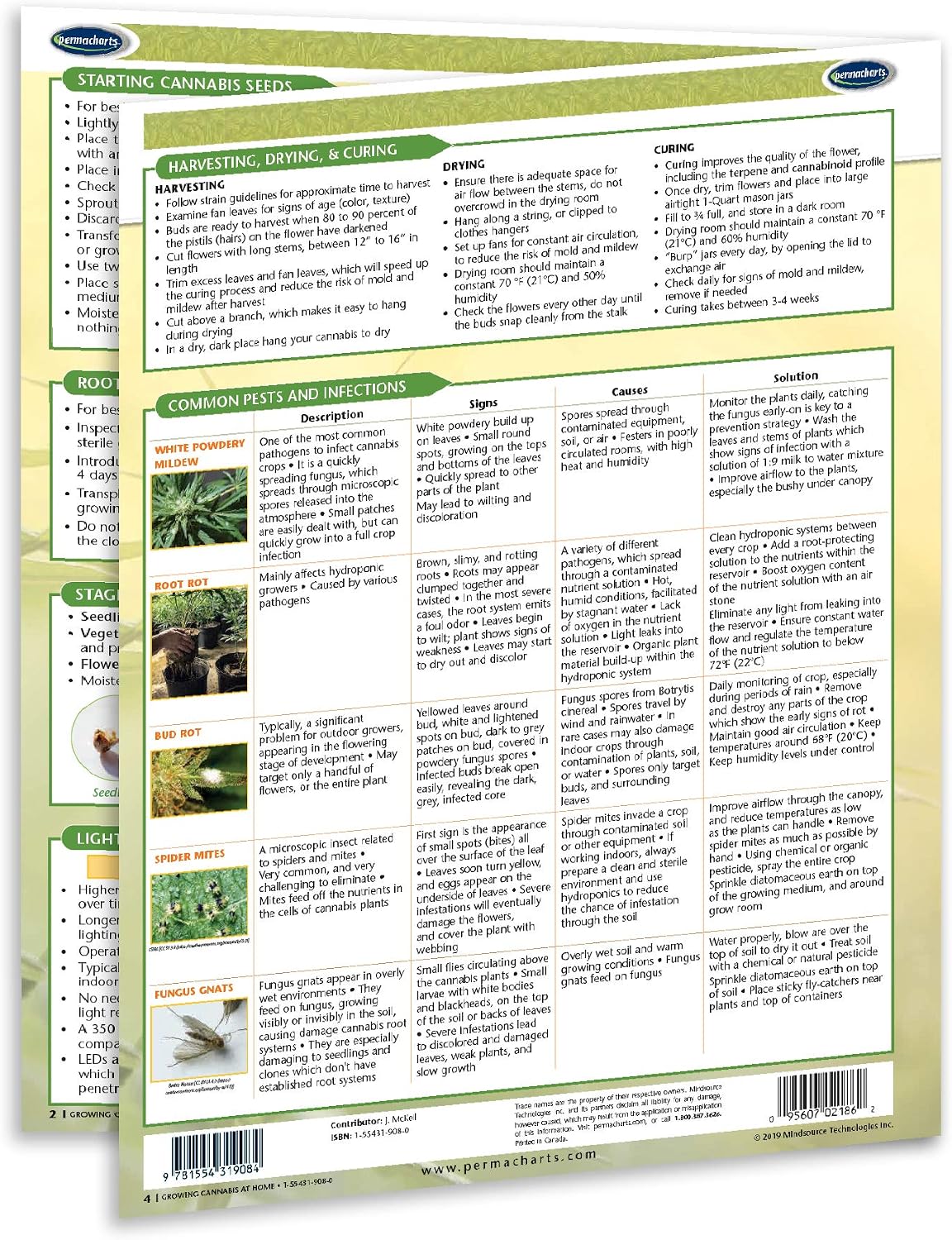 Cultivo de cannabis en casa Guía de referencia rápida - Serie educativa de cannabis por Permacharts