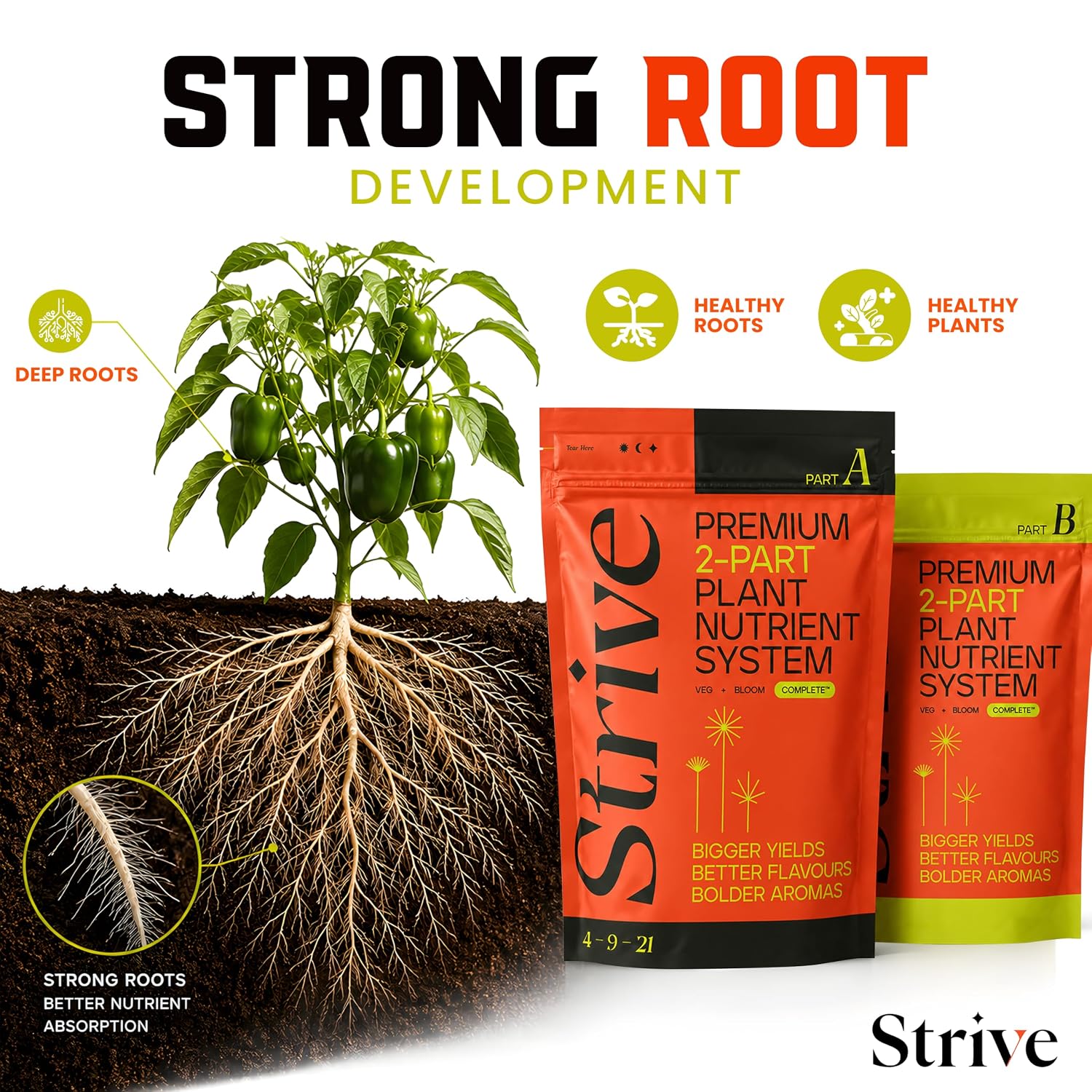 Strive Fertilizer Starter Kit Combo - Veg + Bloom General Hydroponic Nutrients - Indoor, Outdoor and Soil Growing Plant Food - Booster for Vegetables, Succulents, Flowers (Trial Combo 300 Grams)