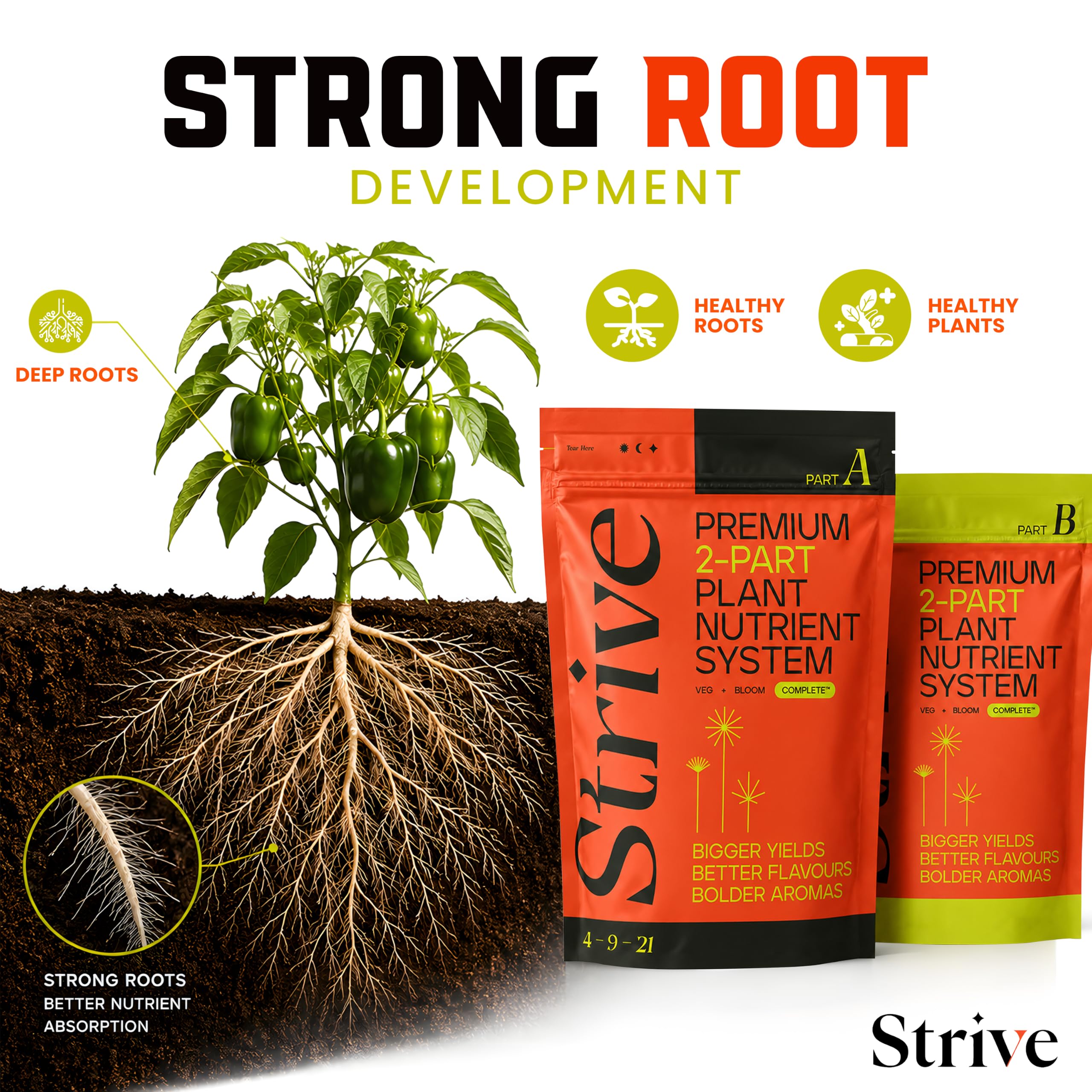Strive Fertilizer Starter Kit Combo - Veg + Bloom General Hydroponic Nutrients - Indoor, Outdoor and Soil Growing Plant Food - Booster for Vegetables, Succulents, Flowers (Trial Combo 300 Grams)