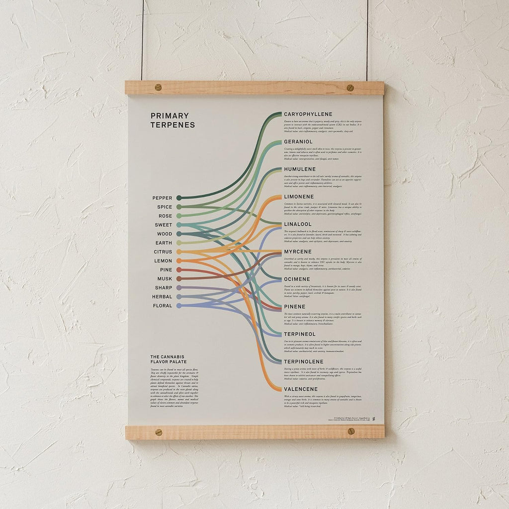 Goldleaf Primary Terpenes Art Print: The Cannabis Flavor Palate Infographic Chart, Terpene Poster, Marijuana Flavors Infographic, Elevated Stoner Decor, Weed Chart Wall Art (18x24)