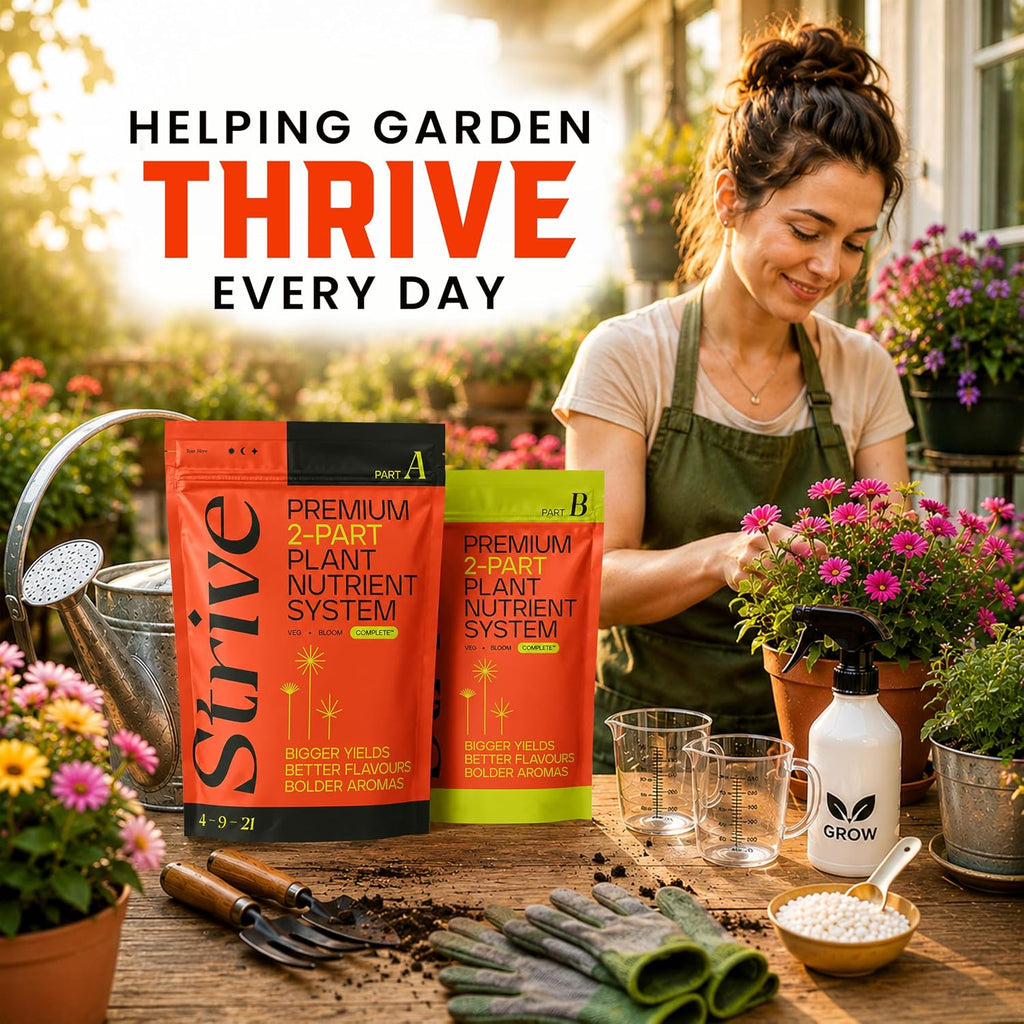 Strive Fertilizer Starter Kit Combo - Veg + Bloom General Hydroponic Nutrients - Indoor, Outdoor and Soil Growing Plant Food - Booster for Vegetables, Succulents, Flowers (Trial Combo 300 Grams)