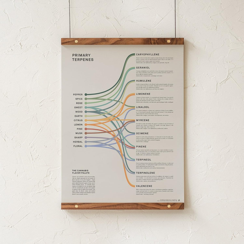 Goldleaf Primary Terpenes Art Print: The Cannabis Flavor Palate Infographic Chart, Terpene Poster, Marijuana Flavors Infographic, Elevated Stoner Decor, Weed Chart Wall Art (18x24)