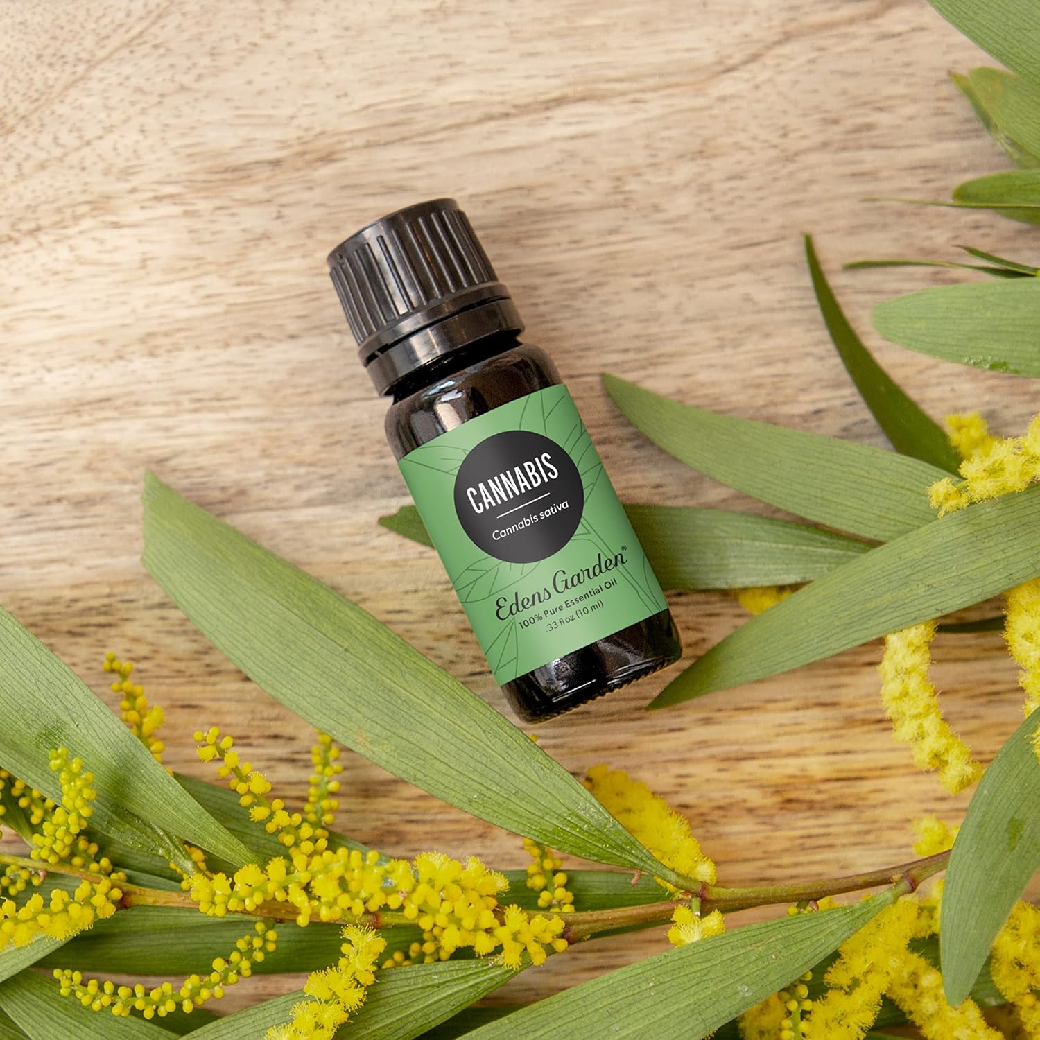 Edens Garden Cannabis Essential Oil- 100% Pure Premium Grade, Undiluted, Natural, Therapeutic, Aromatherapy, The Best for Diffuser, Skin, Candle, Humidifiers 10 ml (.33 fl oz)