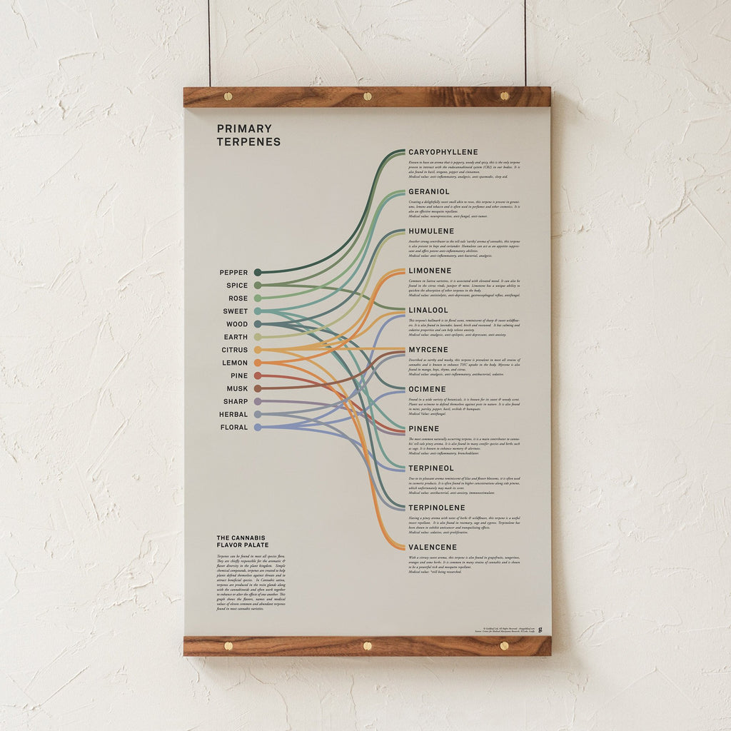 Goldleaf Primary Terpenes Art Print: The Cannabis Flavor Palate Infographic Chart, Terpene Poster, Marijuana Flavors Infographic, Elevated Stoner Decor, Weed Chart Wall Art (18x24)