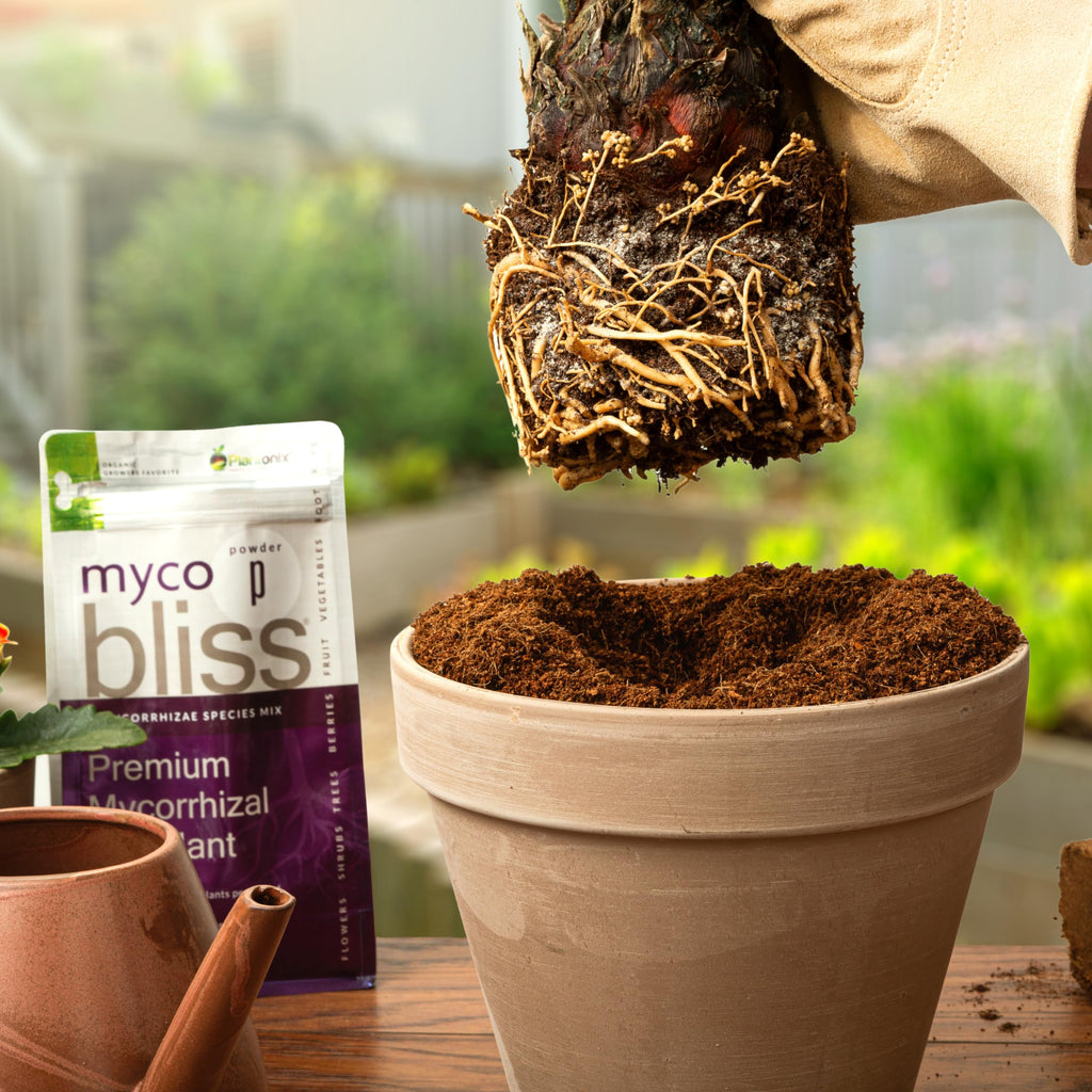 Myco Bliss Granular (2lbs) - Mycorrhizal Fungi for Plants - 5 Strain Mycorrhizal Inoculant with 1000 Propagules Per Gram - Highly Concentrated Mycorrhizae for Plants, Potting Soil, & Garden Soil