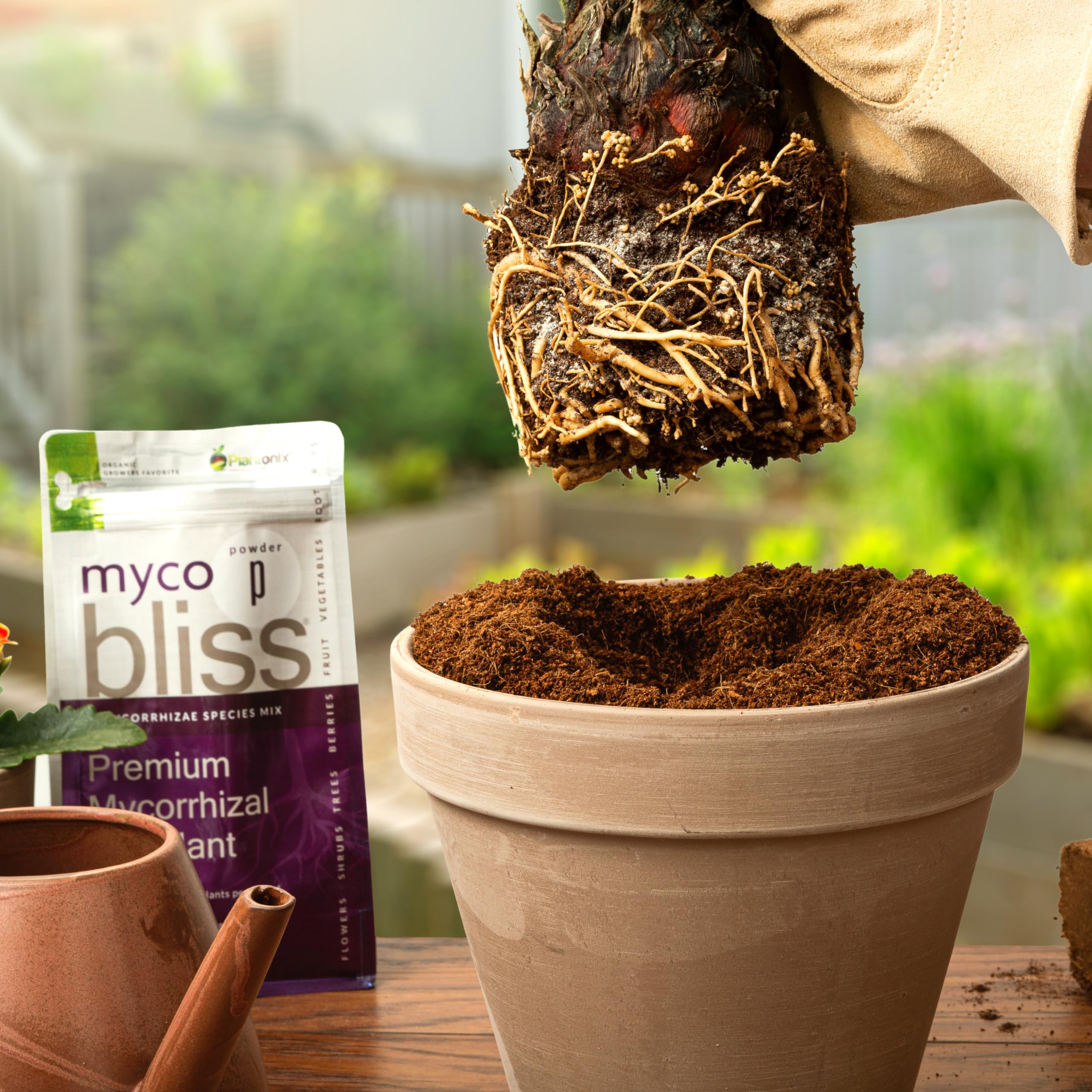 Myco Bliss Granular (2lbs) - Mycorrhizal Fungi for Plants - 5 Strain Mycorrhizal Inoculant with 1000 Propagules Per Gram - Highly Concentrated Mycorrhizae for Plants, Potting Soil, & Garden Soil