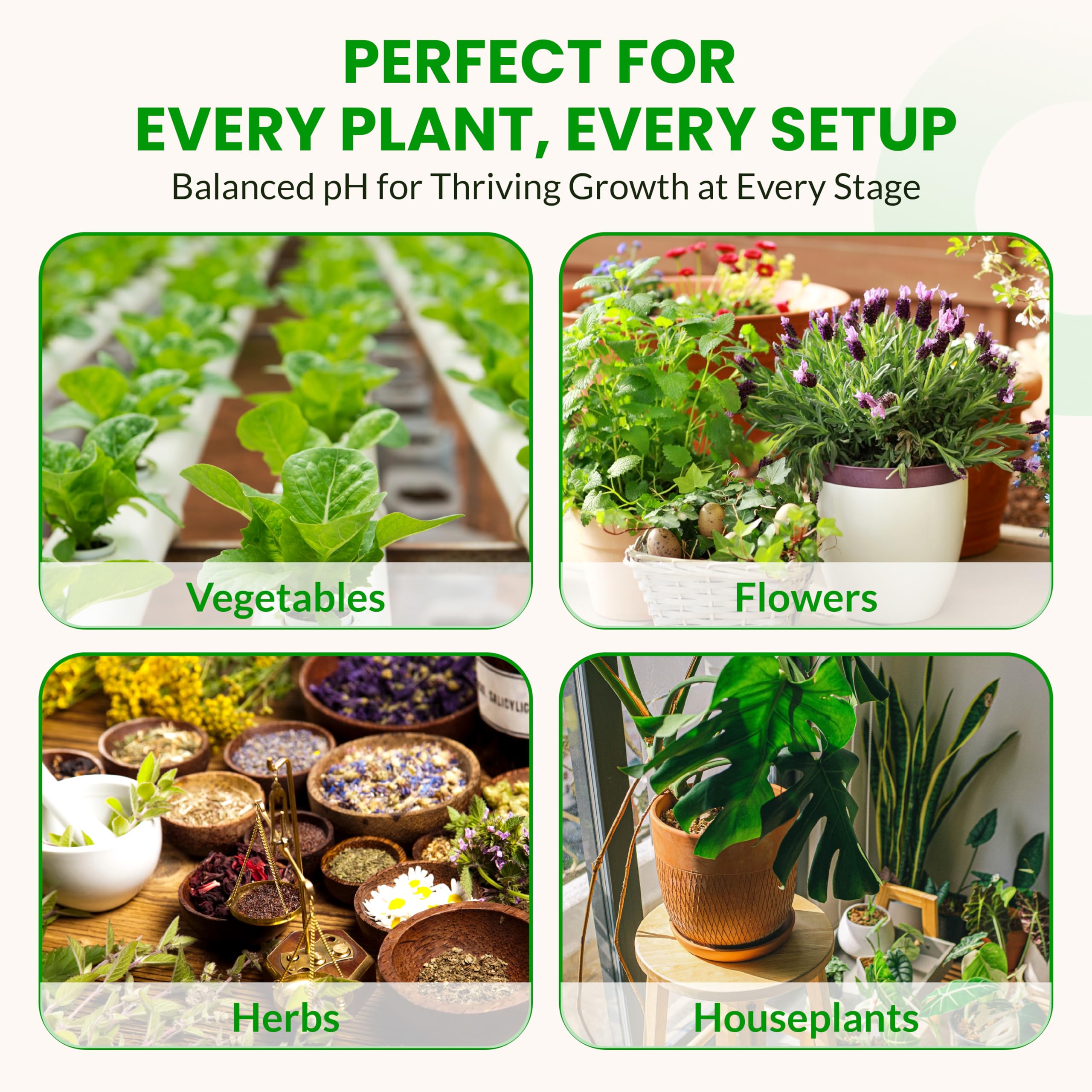 Humboldts Secret pH Up and pH Down Control Kit | Liquid Nutrient Solution Balancer for Plants | for Soil, Hydroponic, Coco, and DWC Systems | Supports Nutrient Absorption and Growth | 8 Ounce