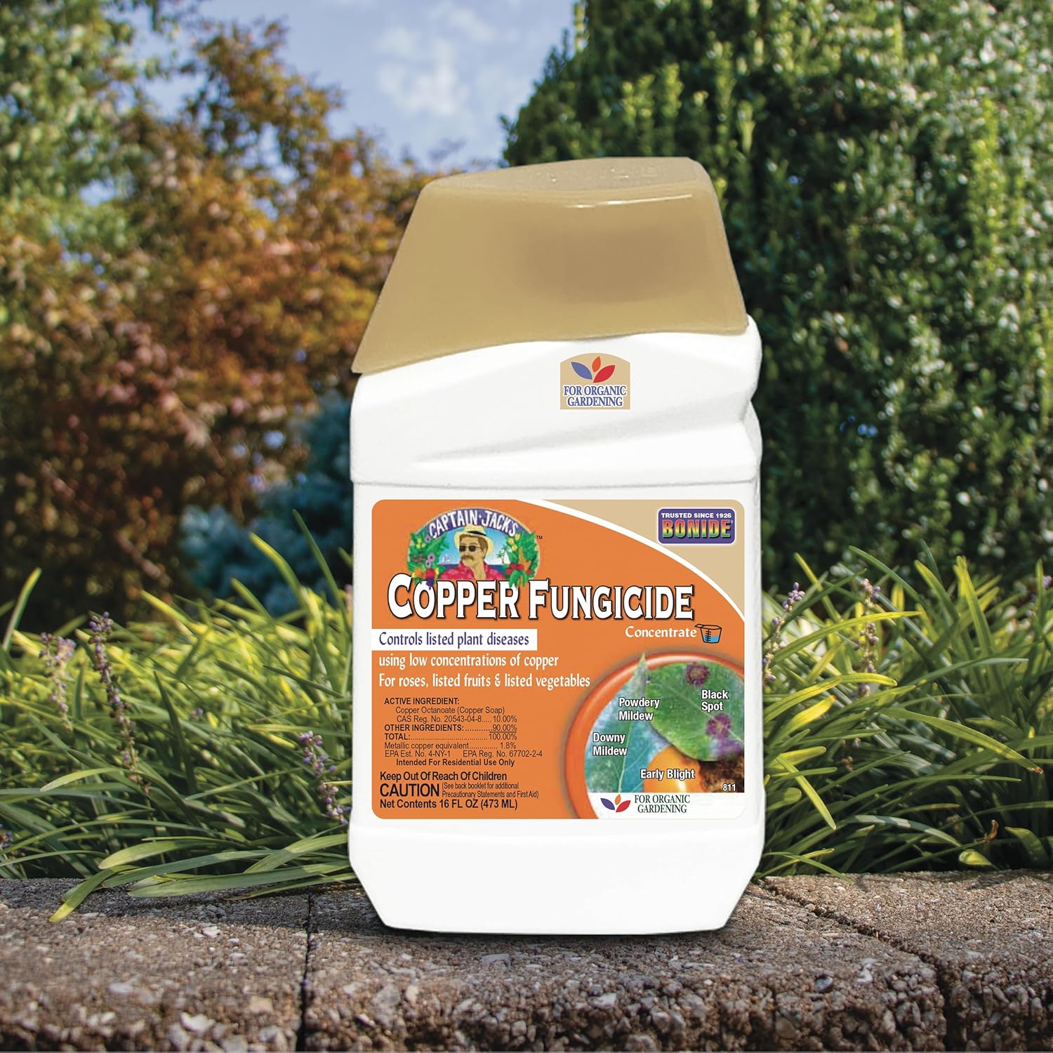Bonide Captain Jack Copper Fungicide 16 oz Concentrated Plant Disease Control Solution for Organic Gardening | Plant Disease Control Solution, For Organic Gardening