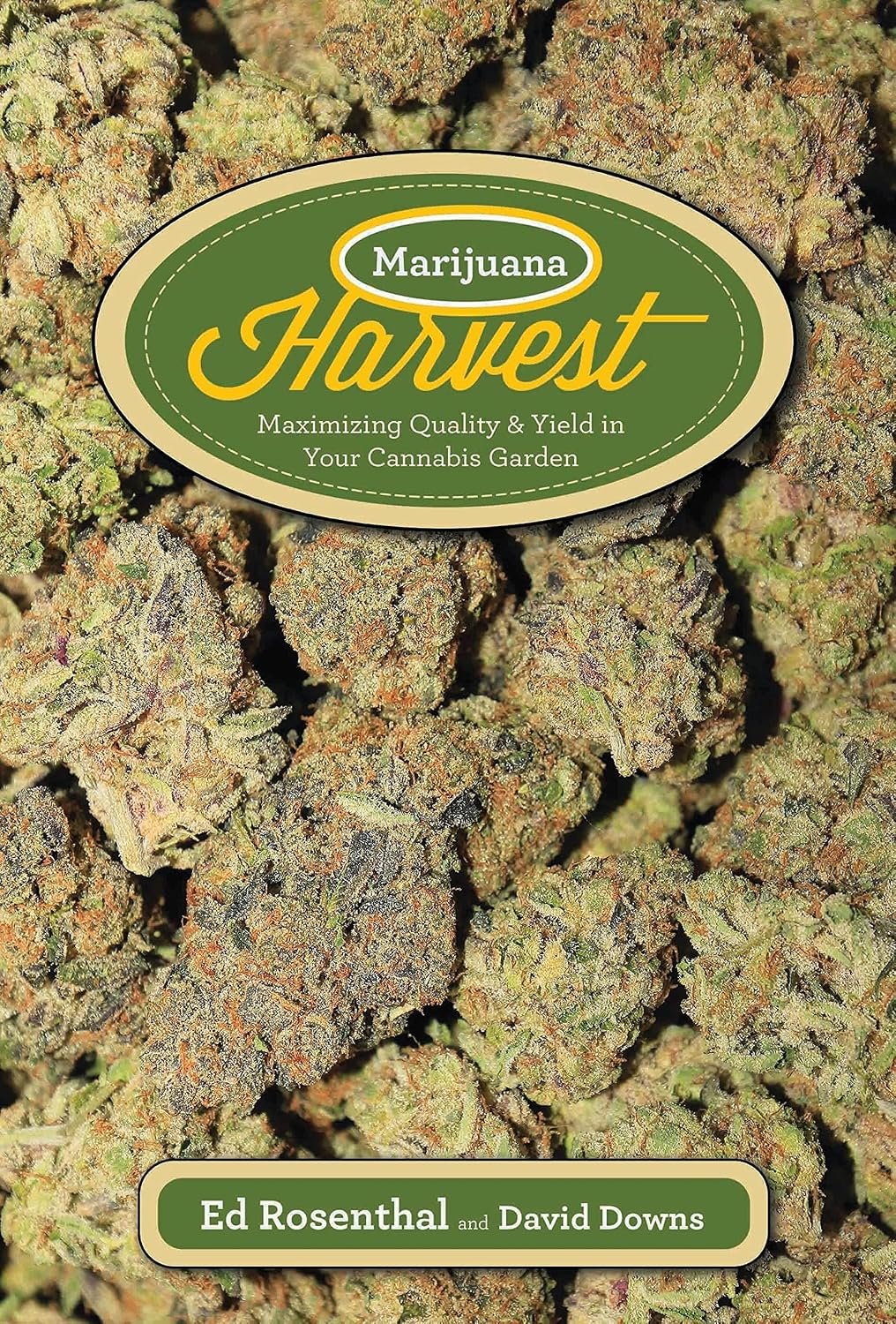 Marijuana Harvest: Maximize Quality and Yield in Your Cannabis Garden